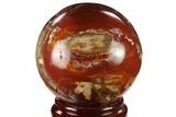 Colorful Petrified Wood Sphere - Madagascar #133829-1